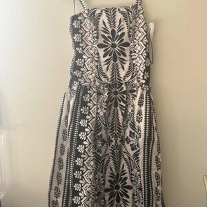 Francesca’s Drop Waist Midi dress